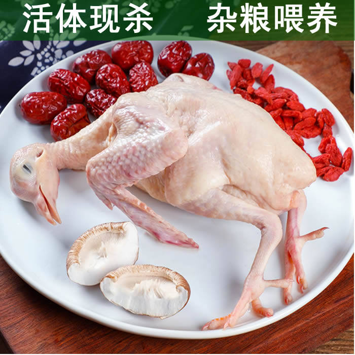 新鲜体现活体冷冻生鲜乳鸽脆皮鸽子红烧煲汤乳鸽