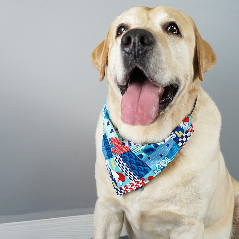宠物狗口水三角巾可爱卡通围脖大狗中大型拉布拉多哈士奇围巾