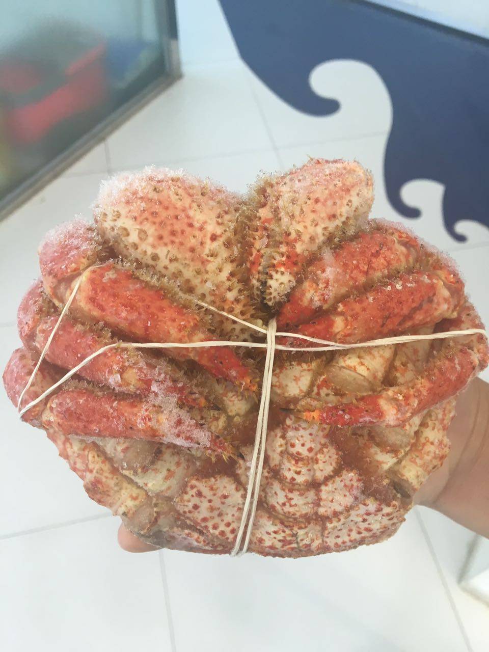 智利利雪大鳕熟冻鳕蟹堪比帝王皇后螃蟹400g600g鳕蟹