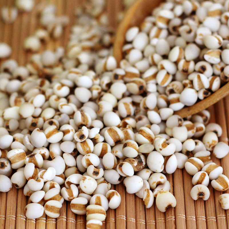 薏米 当年新鲜小薏仁米 薏苡仁 小薏米农家自产五谷杂粮 500g