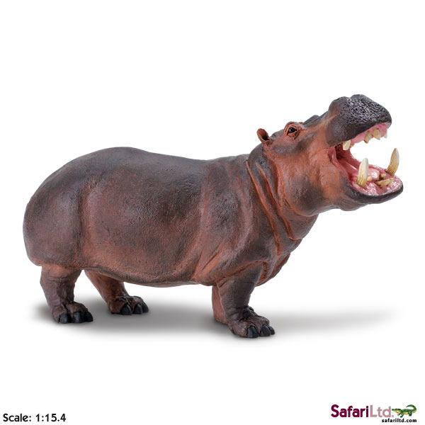 美国safari正品野生动物教学模型大河马欧美教具玩具仿真