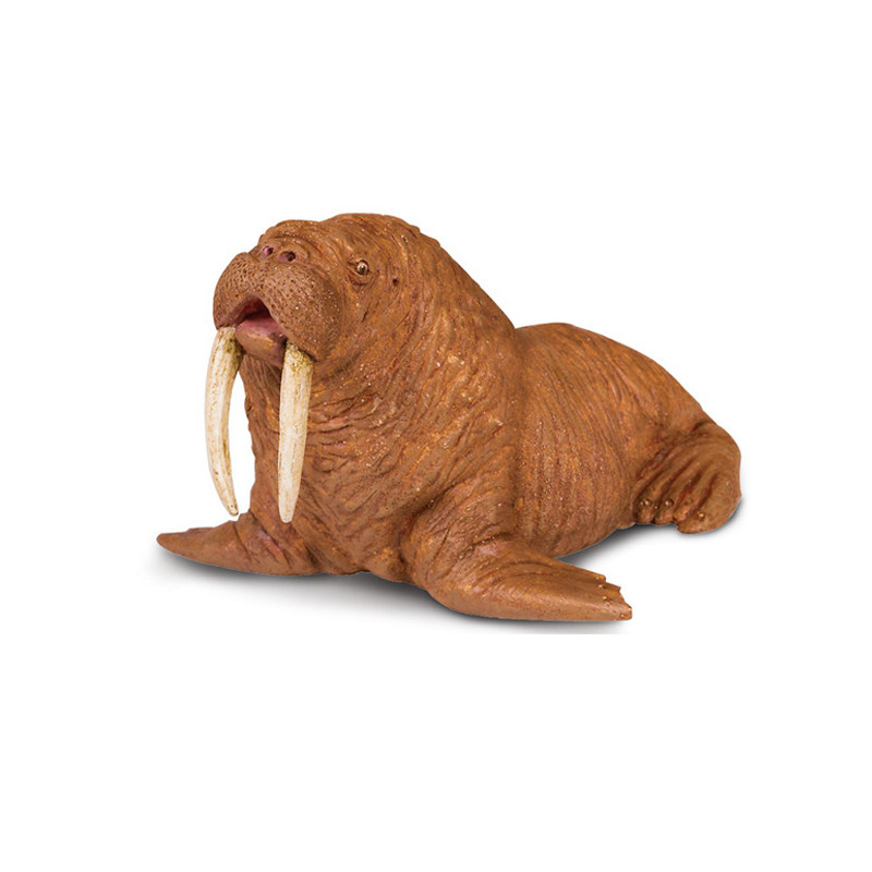 美国safari正品海洋生物模型海洋馆玩具海象欧美教具仿真