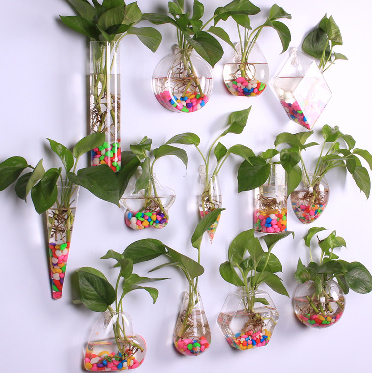 花瓶创意水培玻璃悬挂式透明插花花盆绿萝壁挂花瓶