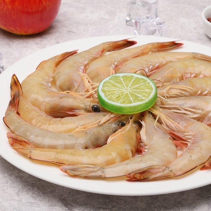 福建机敏大海新鲜白刺虾苗虾虾白深海黄机敏虾母冻虾