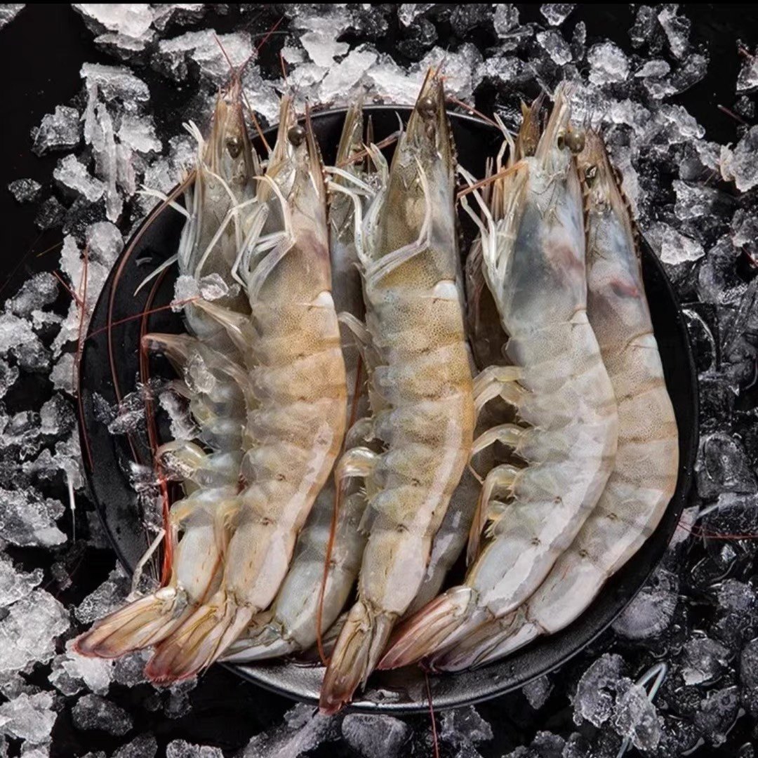 盐冻海新鲜大虾鲜活超大冷冻活虾鲜冻基围虾白冻虾