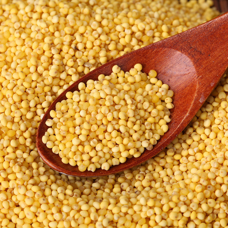 大黄米糯小米黏黄米黄糜子米软黄米黍250g其它粮食
