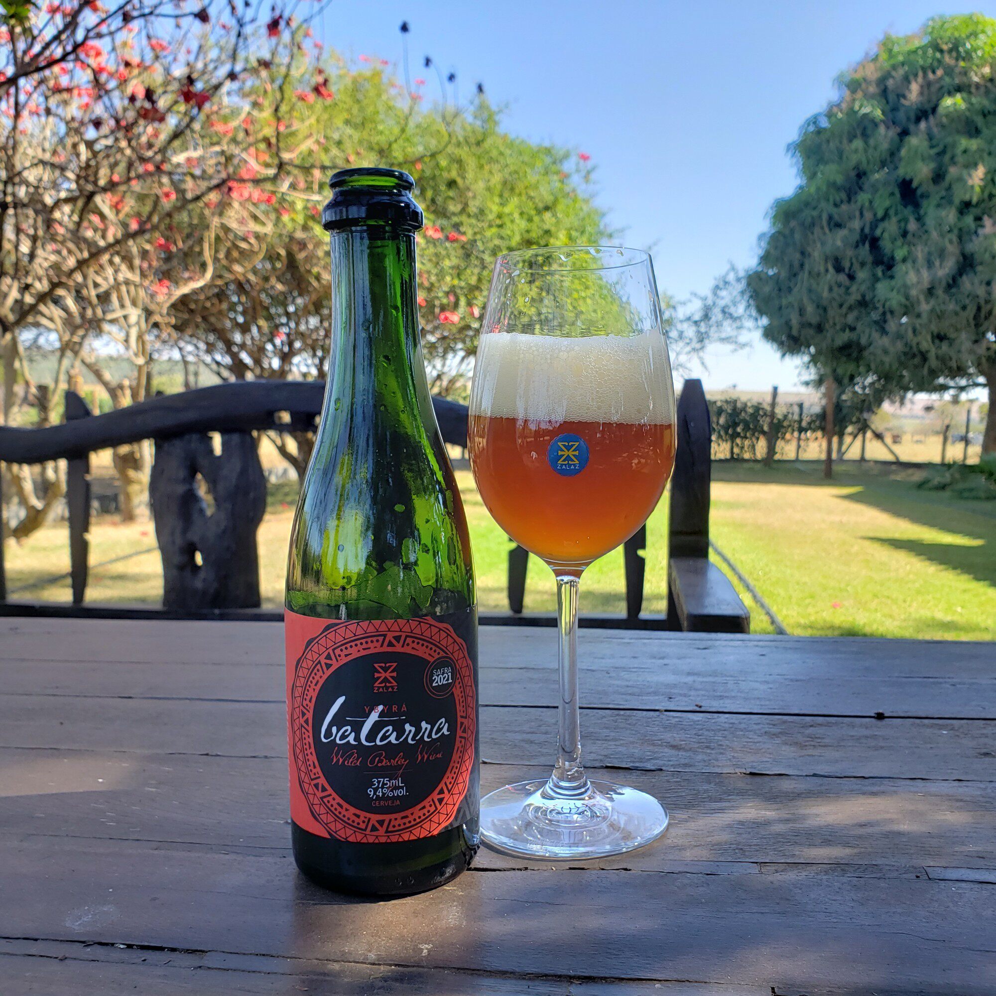 高分精酿巴西进口佐拉暗黑烟雾莺桃艾尔啤酒啤酒