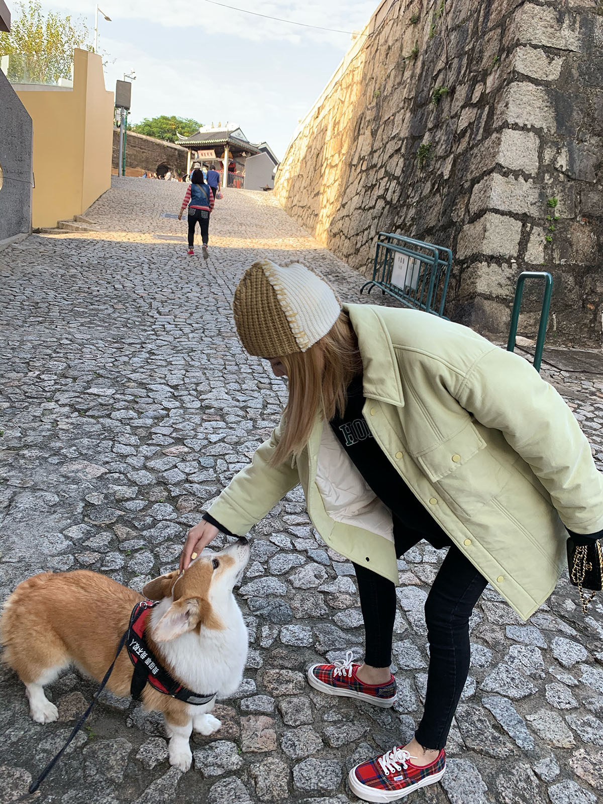 新品抢先先加莫兰兰迪奶绿初雪棉服sn20104棉衣