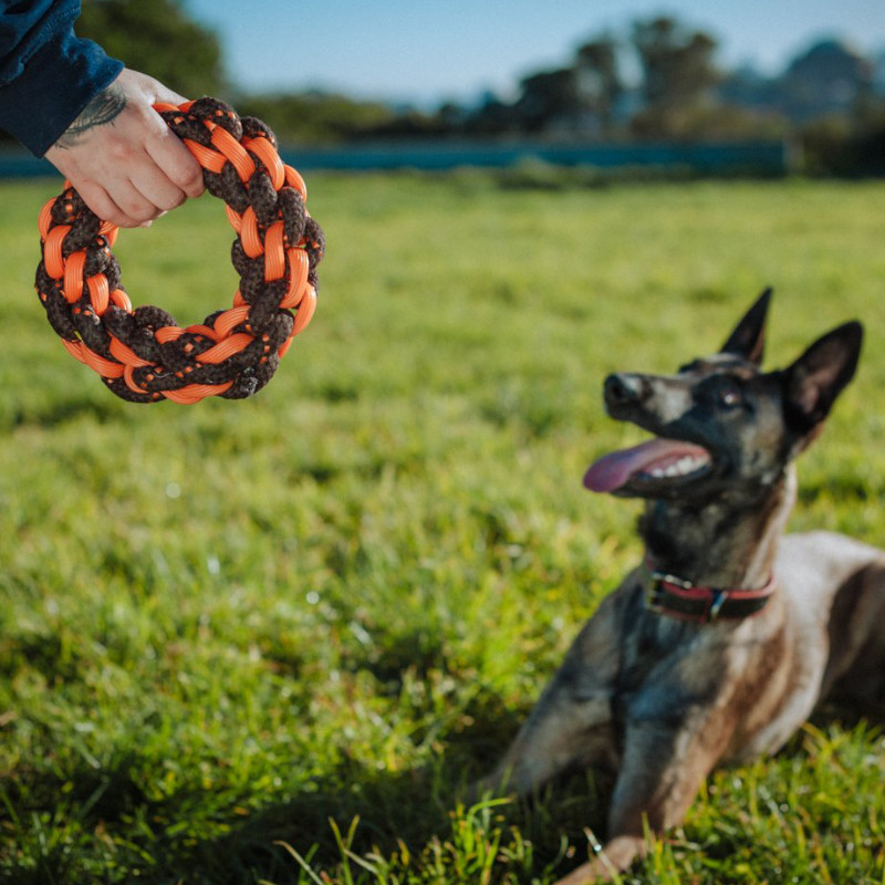 玩具弹力绳结play美国进口宠物耐咬训练互动绳结玩具