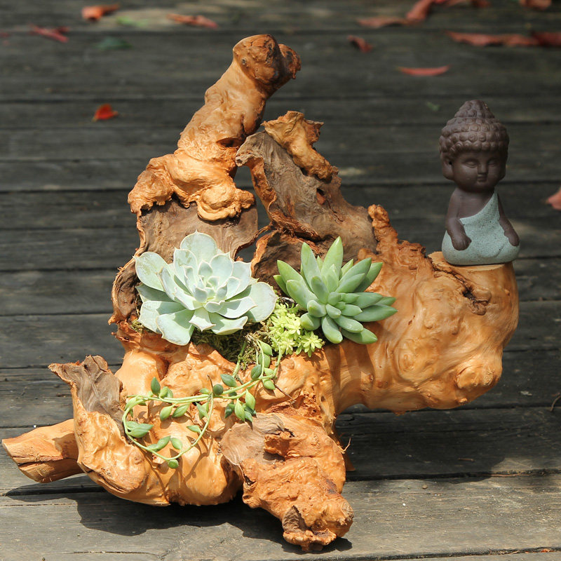 多肉植物木头枯木树根空气凤梨花盆 好评好店