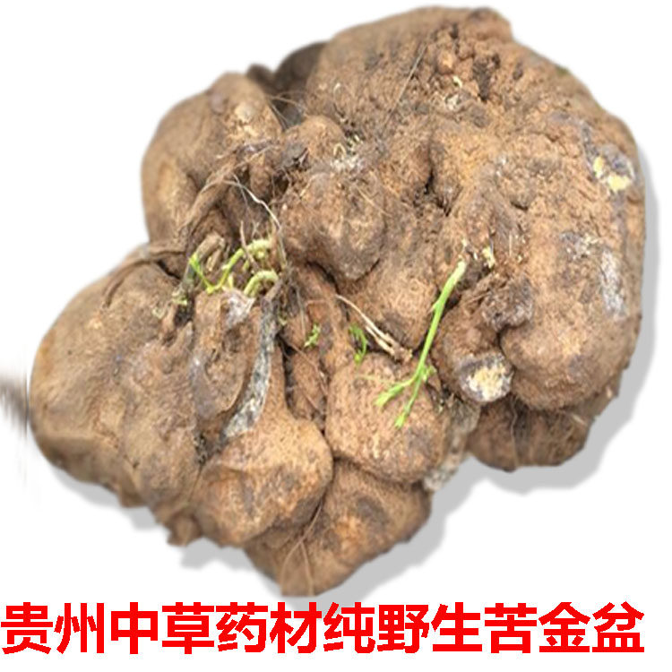 贵州500g金龟蛇莲锅底野生罗锅底曲莲苦金盆雪胆传统滋补品其他