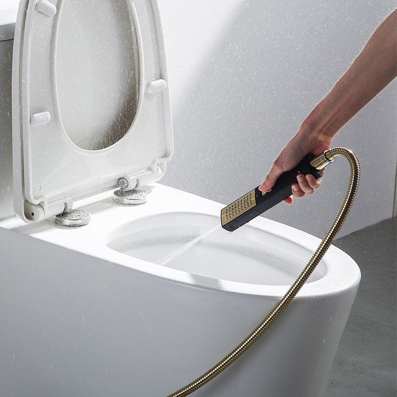 德国gohu卫浴 欧式全铜黑色黑金数显非恒温浴室淋浴花洒套装家用