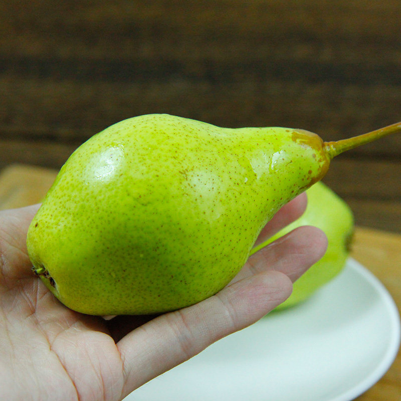 东北茄梨顺丰包邮太婆大头青啤梨放软糯香甜梨