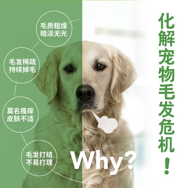 Madder's 680g lecithin Beauty hair skin care for dogs Health nutrition beauty Golden Retriever Teddy Madox Madder's 680g lecithin Beauty hair skin care for dogs Health nutrition beauty Golden Retriever Teddy Madox