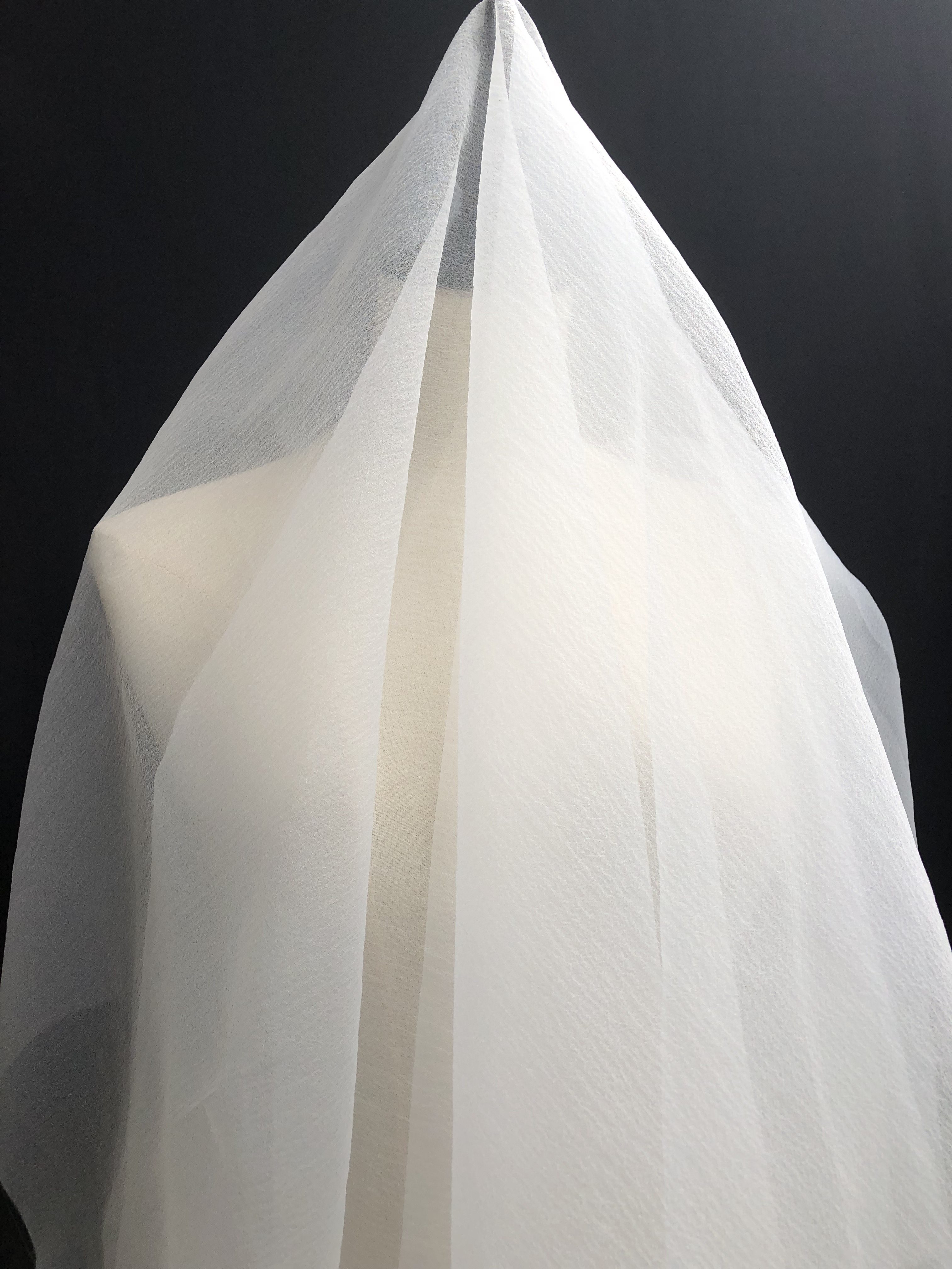 肌肤白色泡泡纱欧根纱肌理褶皱纱手工蕾丝进口透视服装设计师布料