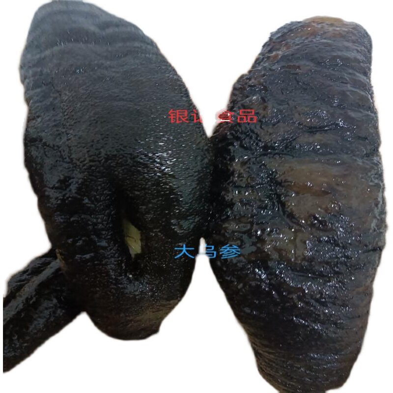 大乌家庭多省1份海参发即用水酒店餐饮饭店淡水鱼类