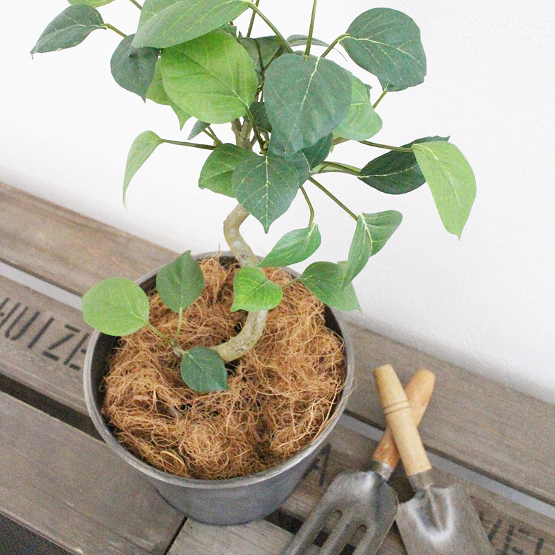 多洛库拉菲草透气盆栽装饰材料铺土美化压缩装 doroq 天然铺面麻丝