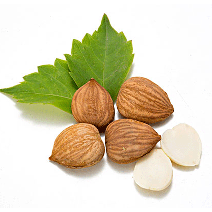 山西特产阳高杏仁杏核坚果开口手剥野生杏核农家500克特价