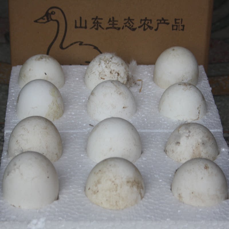 新鲜大鹅蛋正宗鹅蛋天然原生态散养当天现捡农家土鹅蛋孕妇绿色批
