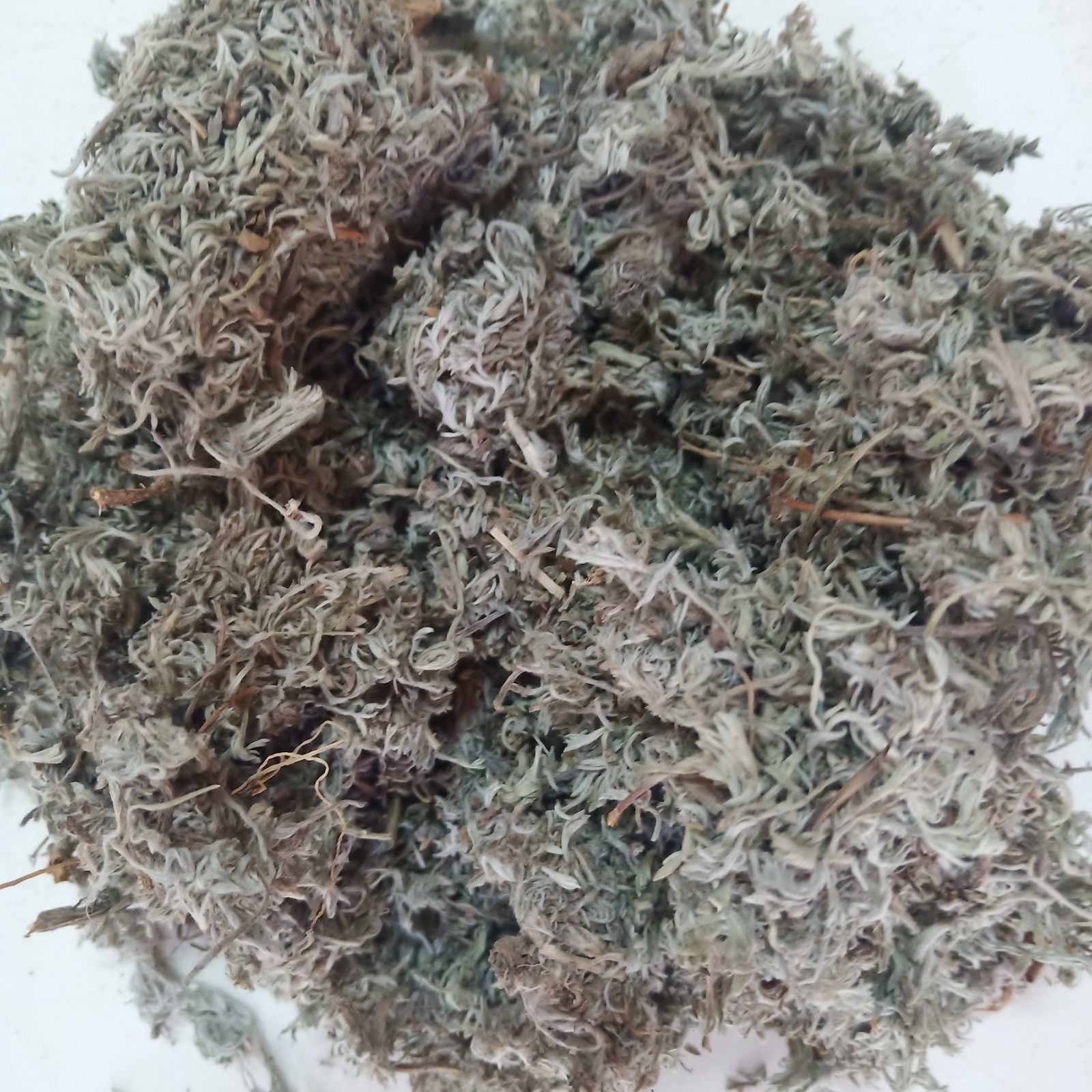 茵陈2020年干品野生正品白蒿新鲜中药材绵棉500克其他药食同源食品