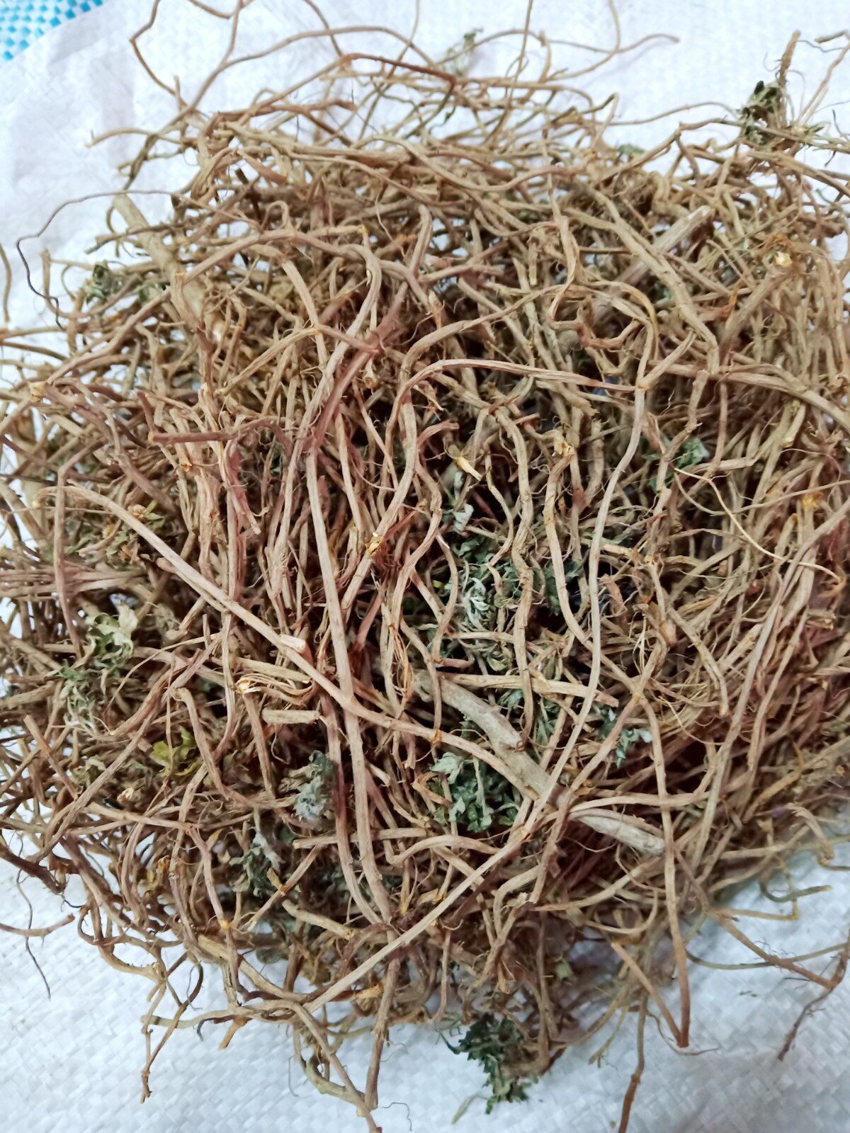 野生中药材五月艾根艾叶根老艾根艾草草根客家特产其他药食同源食品