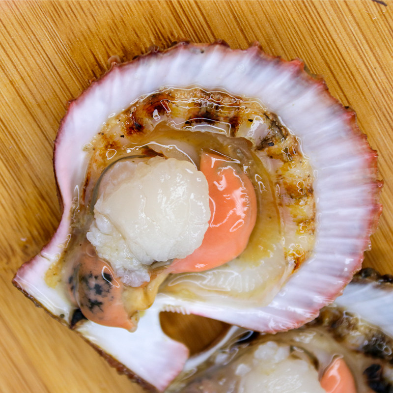 扇贝鲜活带壳新鲜小红红贝小扇海鲜水产蒜蓉扇贝