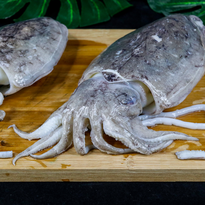墨鱼深海新鲜冷冻乌贼鲜活大墨超大鲜墨鱼目冷冻墨鱼