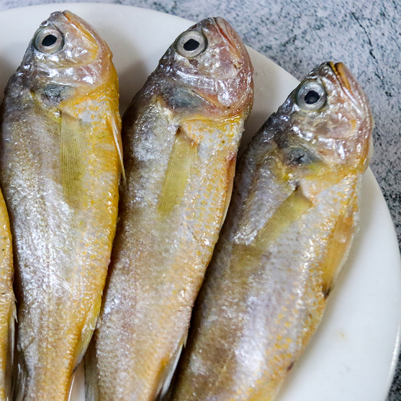 鲜鱼海鱼黄花鱼新鲜鱼深海黄鱼海鲜水产鲜活海大黄鱼黄鱼