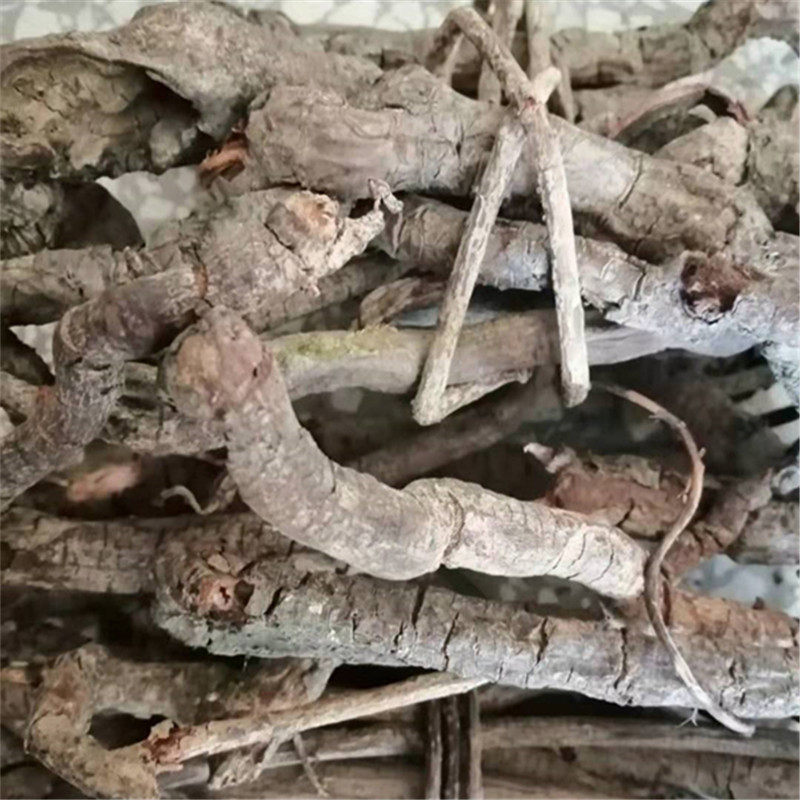 野生小钻 钻骨风 小血藤 钻石风 八仙草血糊腾 爬岩香香血藤根部