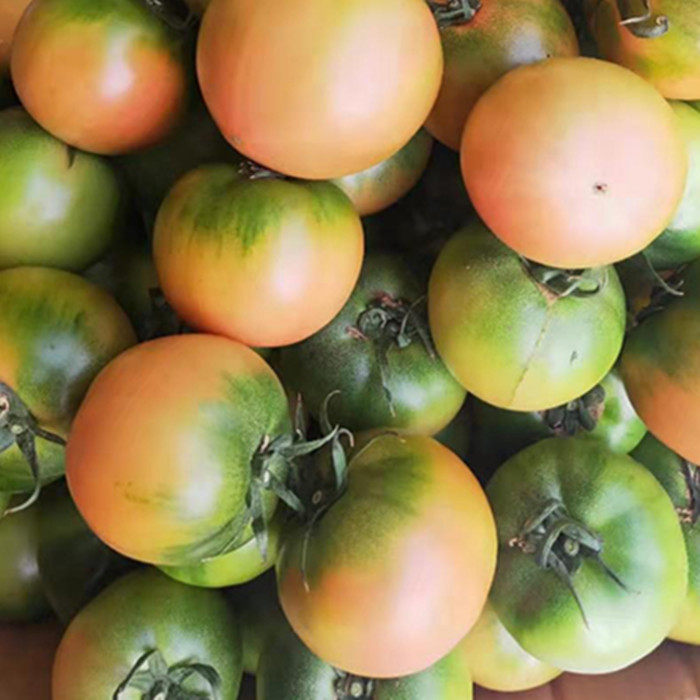 柿子草莓5斤水果新鲜鹰爪鲜绿新鲜绿西红柿铁皮柿子