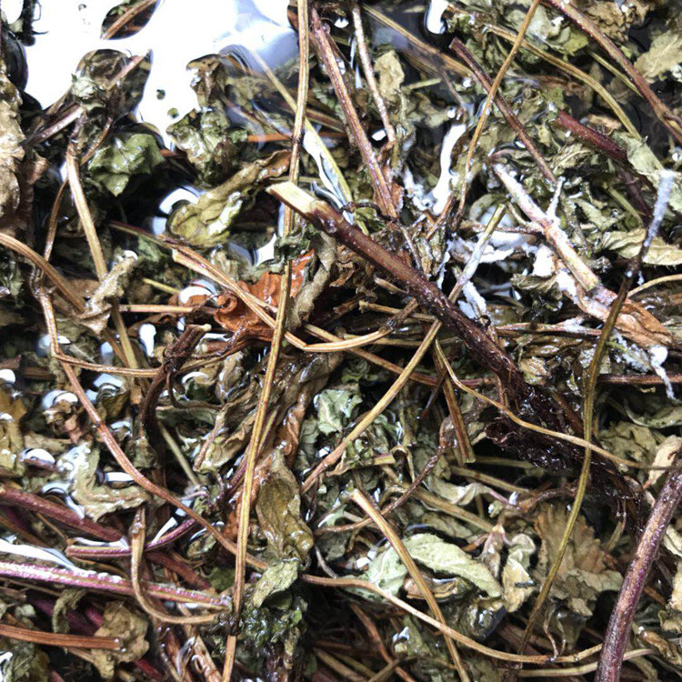 农家新鲜仙草干 凉粉草 仙草冻烧仙草原料黑凉粉仙人草 非仙草粉