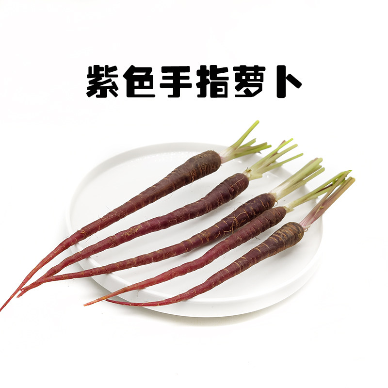 紫色新鲜蔬菜手指萝卜黑色胡萝卜去叶500g西餐其它