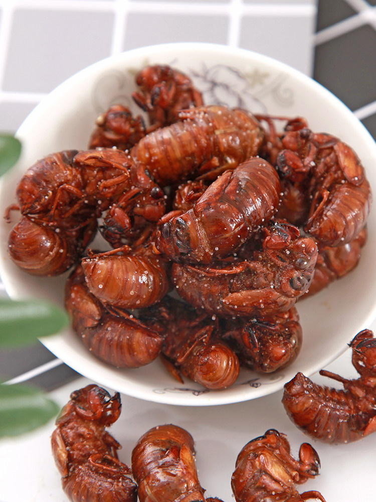 油炸金蝉新鲜椒盐香辣知了唐僧罐装其它生肉制品