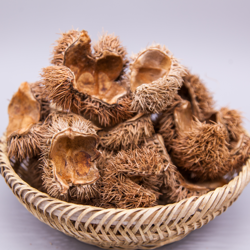广西板栗壳 板栗外壳 风栗壳 栗毛球壳 栗刺中药材500克新鲜新货_双氙
