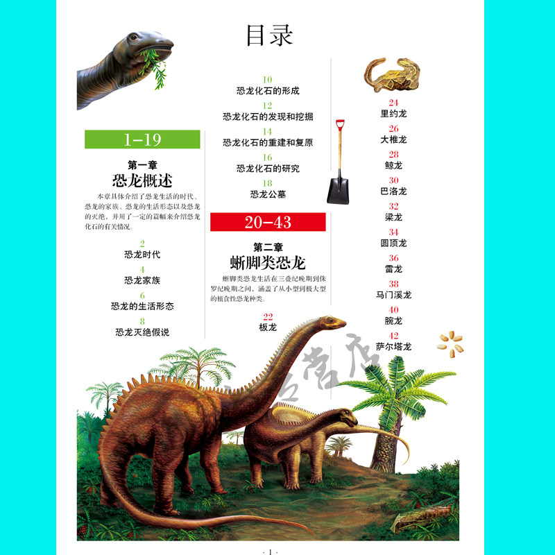 恐龙阅读权威大百科科普图书龙王国学生王国成长儿童文学