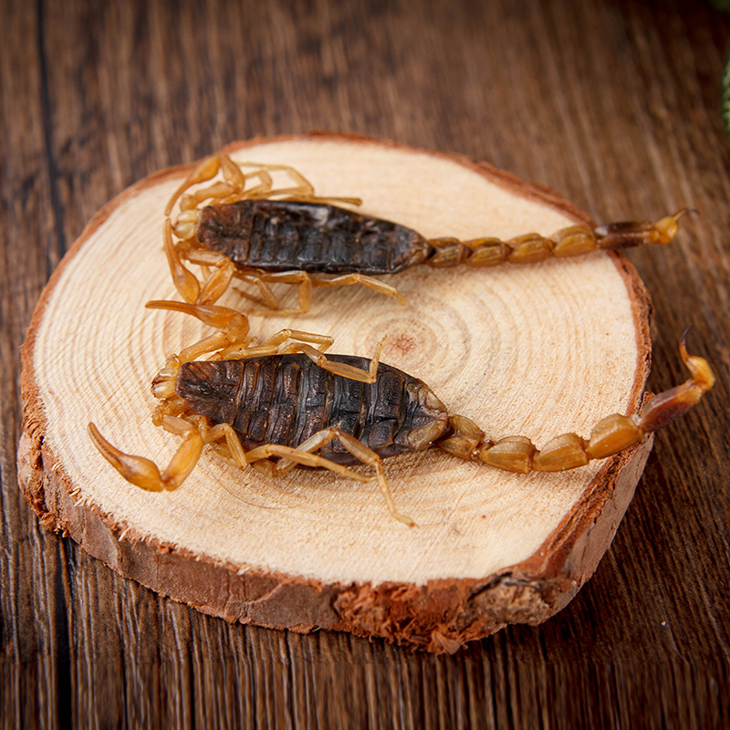 松山堂 沂蒙十足全蝎100克/盒清水全虫九成半干干钳蝎蝎子中药材