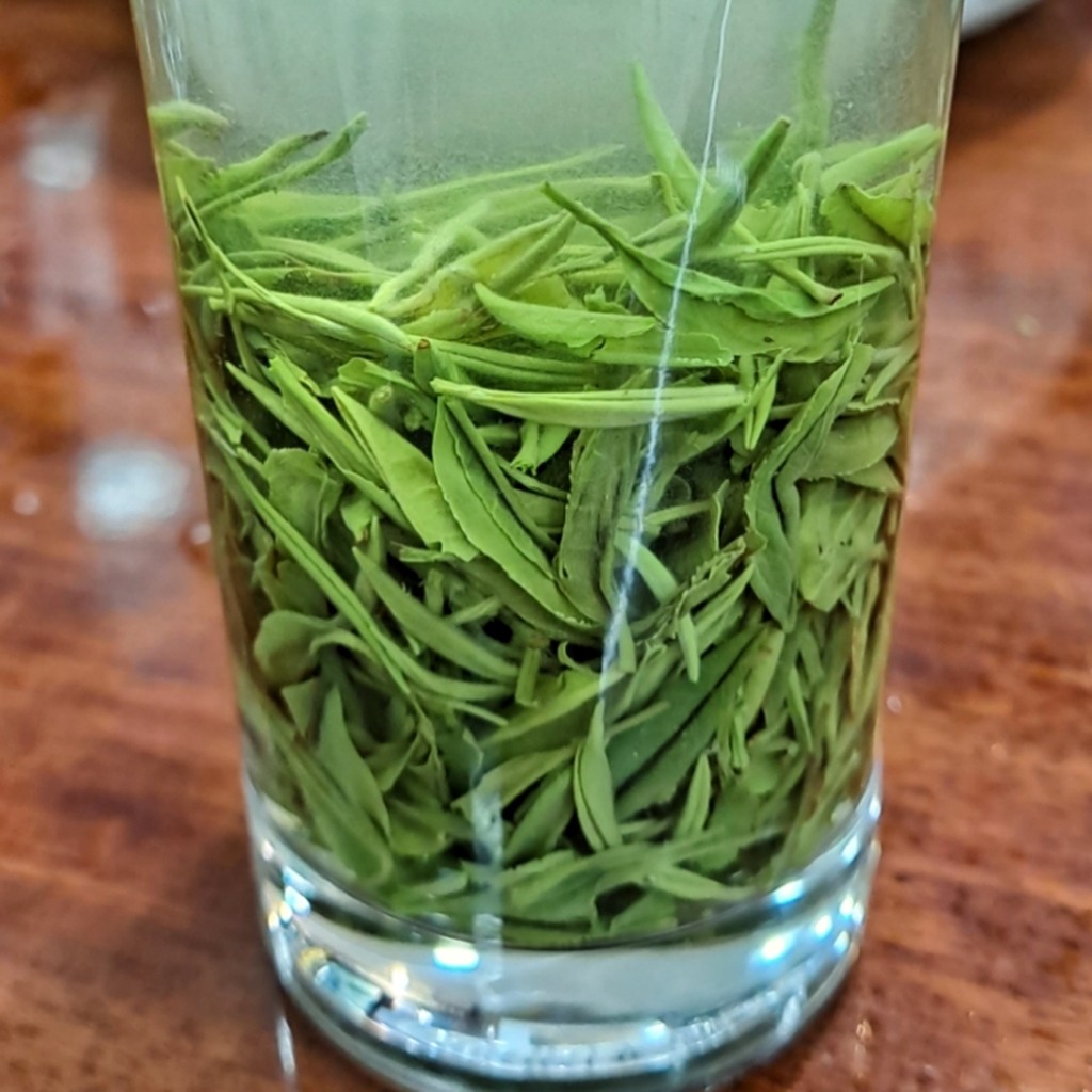 绿茶2022年新茶正宗湖北保康毛尖特级明前浓香其它绿茶