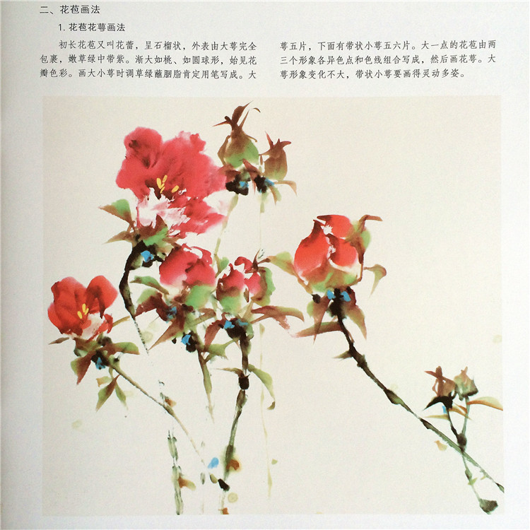 初学学画牡丹 写意国画花卉的画法技法步骤图画谱图集 入门级教材