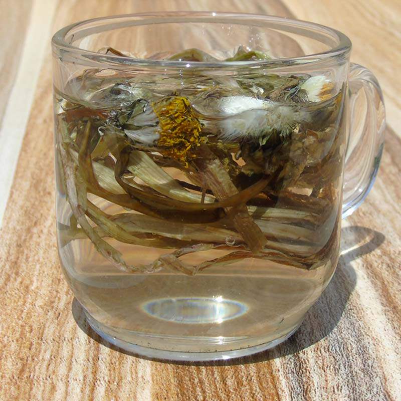 纯天然500g全草整株带根干蒲公英茶叶散装花草茶泡水野生婆婆丁