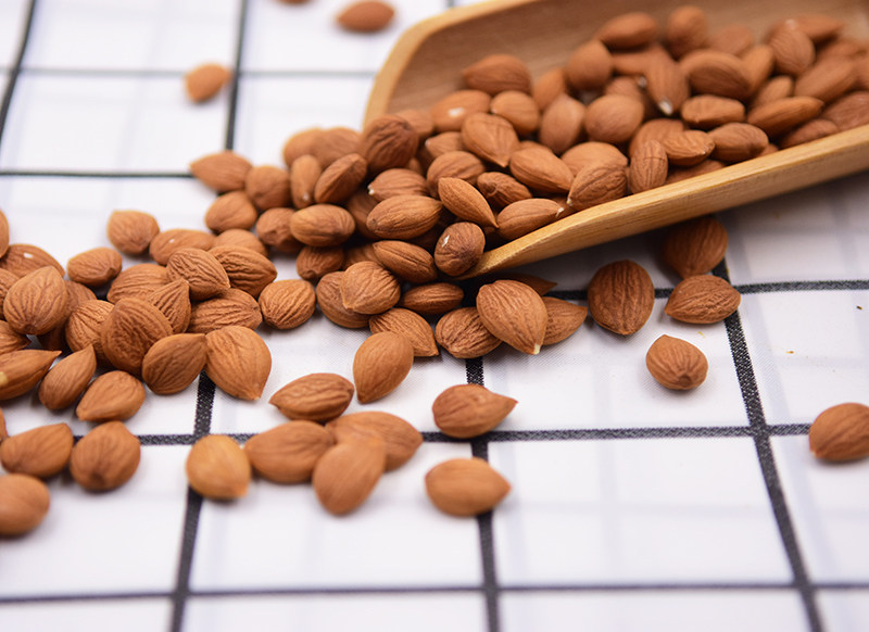 有机杏仁伊杏新疆特产树上干杏去核核仁200克杏仁