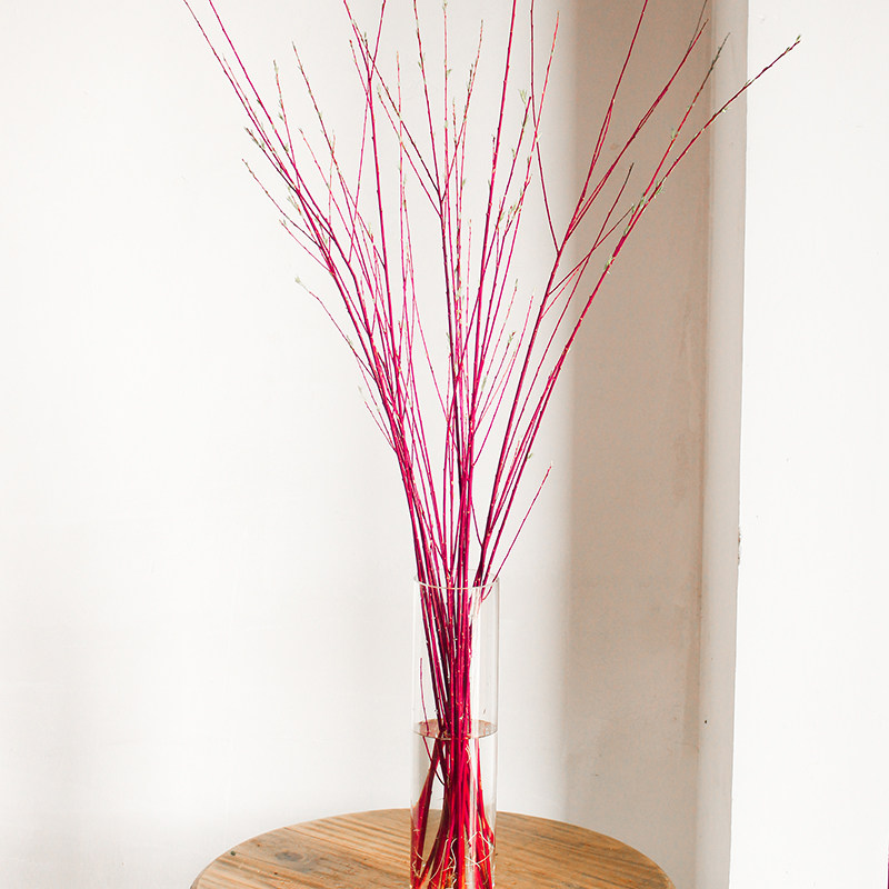 口红瑞木红柳花艺造型枝条家庭插花鲜花速递(同城)