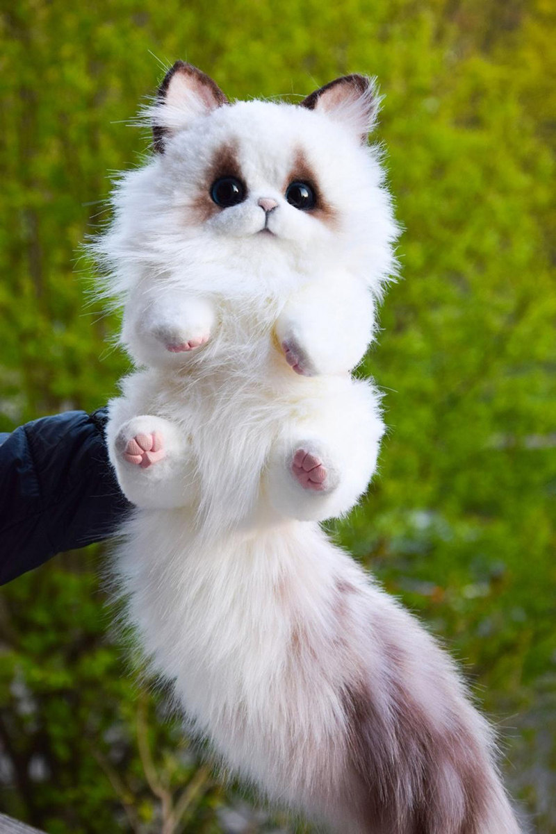 红叶题诗网红萌宠俄罗斯手作艺术家布偶猫毛绒玩具兽偶娃娃毛绒