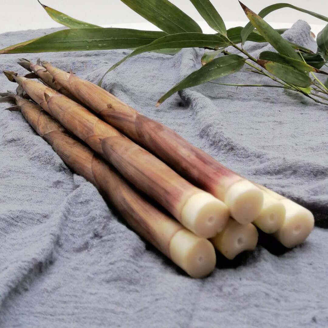 竹笋新鲜5斤湖南野生小笋时令蔬菜现拔现发竹笋