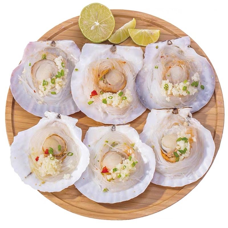 优质连云港新鲜夏夷鲜活超大扇贝贝天然野生烧烤扇贝