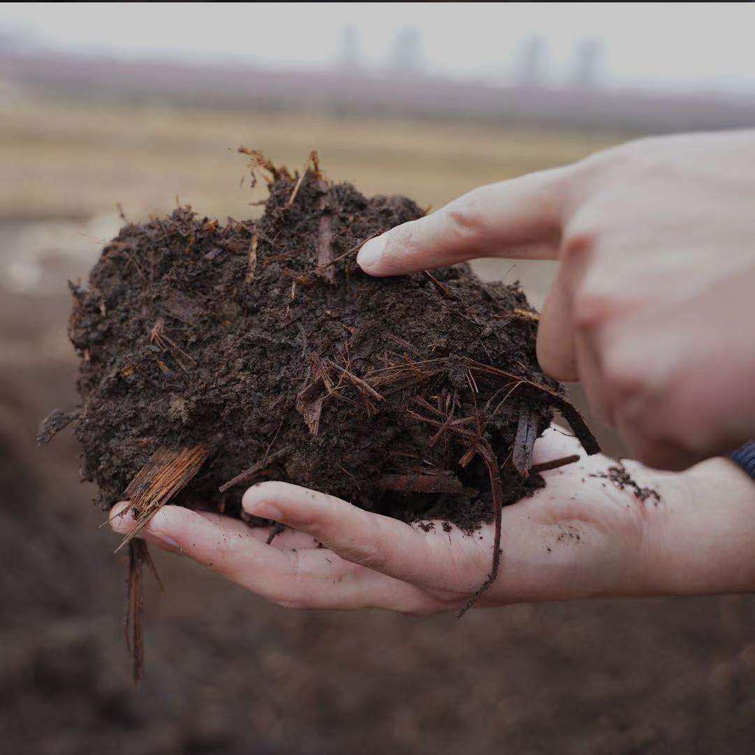 秸秆新鲜玉米混合羊粪好氧堆肥腐熟充分有机肥料介质