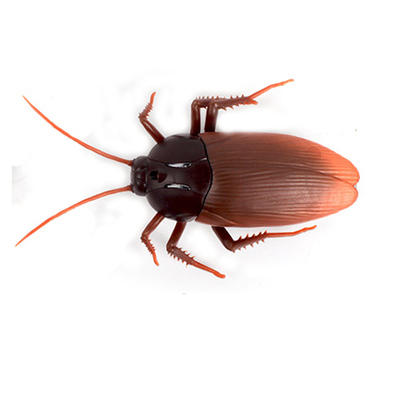 仿真版遥控蟑螂玩具网红创意遥控小强翅膀会动物新奇男恶搞吓整蛊