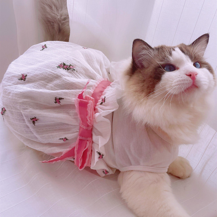 猫咪小猫宠物裙子纱裙猫猫衣服夏小猫连衣裙布偶猫狗宠物服装