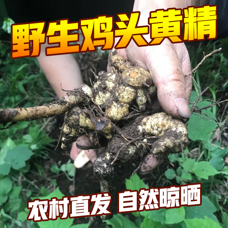 正品天然野生黄精鸡头根九蒸晒新鲜500克滋补品泡酒制黄精中药材