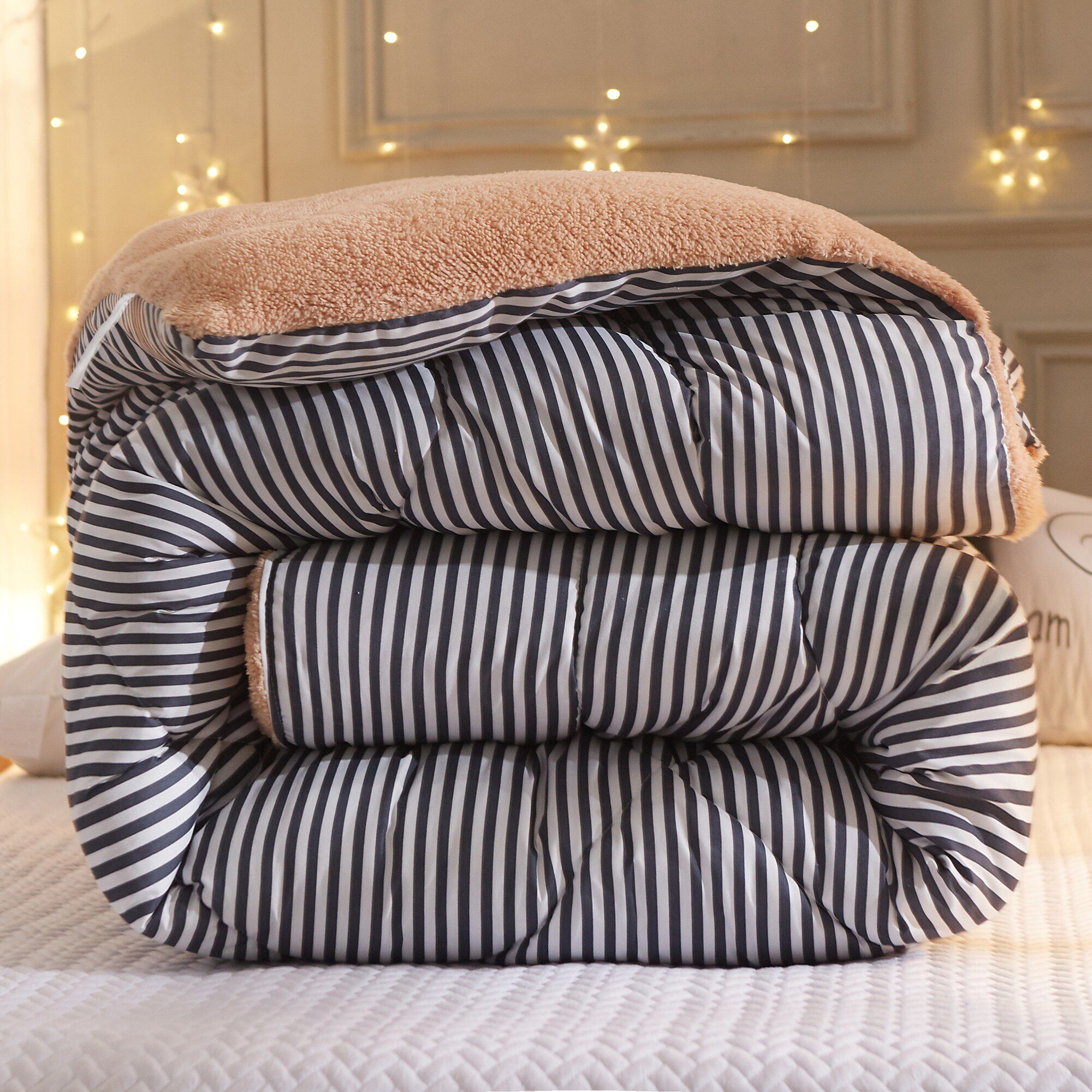 冬天被子加厚保暖毛绒羊羔绒被芯棉絮学生宿舍羊绒被子冬被单双人