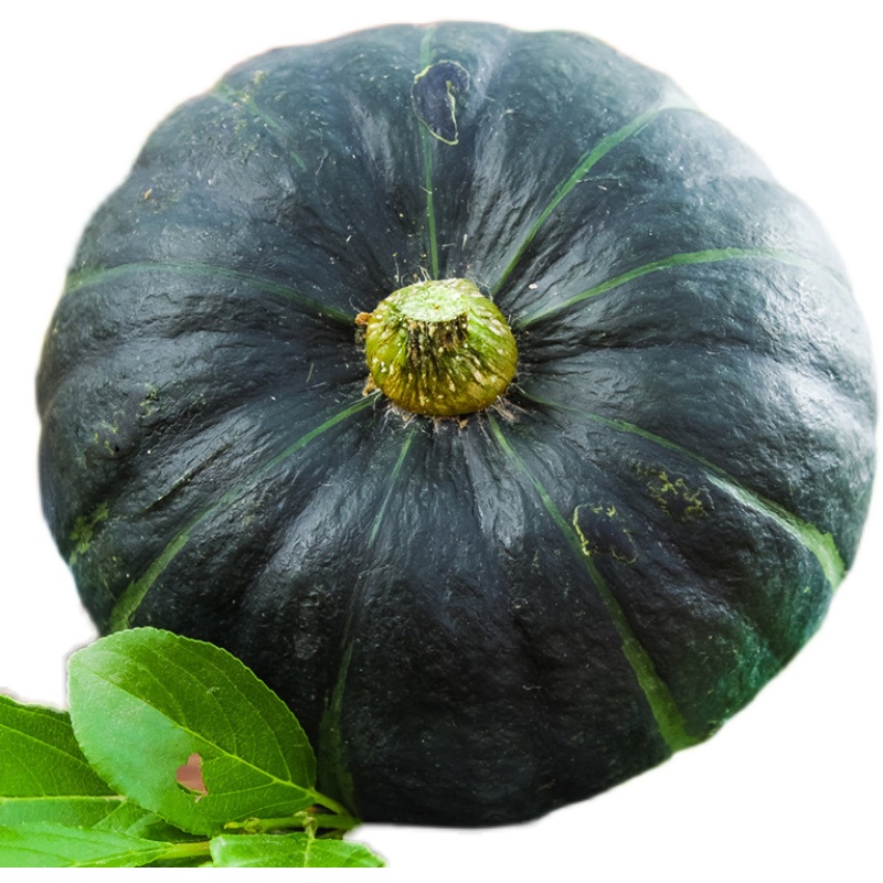 新鲜蔬菜迷你小南瓜贝贝南瓜500g板栗宝宝捕食其它